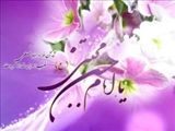 نیمه ماه رمضان؛ ولادت امام جود و سخا 