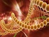 استفاده از ژن درمانی برای غلبه بر یکی از سخت ترین بیماریهای تنفسی