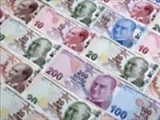 ارز تا ۱۰ ماه آینده تک نرخی می‌شود ؛ کاهش قیمت ارز موقتی است 