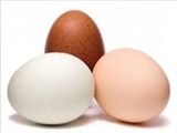 مصرف چند عدد تخم مرغ در روز مجاز است؟  