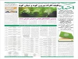وظیفه افراد بیرون گود و میان گود