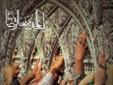 روایات رضوی منبعی برای فهم قرآن/حدیث سلسلة الذهب دعوت به وحدت است