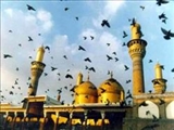 آگاهی تاریخی از زندگی ومكتب علمى جوادالائمه(ع)/ کرامات پیشوای نهم