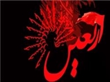 چرا فقط برای امام حسین(ع) اربعین می‌گیریم