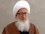 نبوت از قانون عقلی مستثنی نیست/ ابتنای آیات قرآن بر پایه عقل 