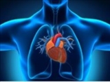 ۷ توصیه‌ برای کاهش بروز مشکلات قلبی 