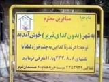 تبریـز؛ شهر بدون گدا