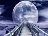 چه کسانی می‌توانند به وادی سلوک وارد شوند؟ 