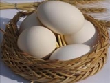 کلسترول تخم مرغ برای سلامت قلب ضرر ندارد