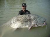 عجیب ترین و بزرگترین ماهی ها